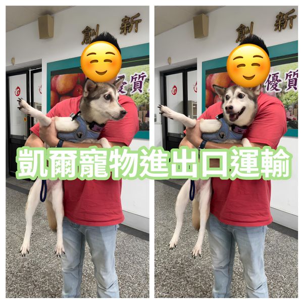 2025/09/19『廈門』混種狗狗飛中國廈門~~~~